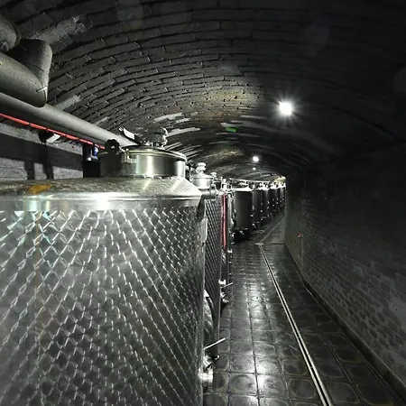 Gasthuis Valecska Palenice