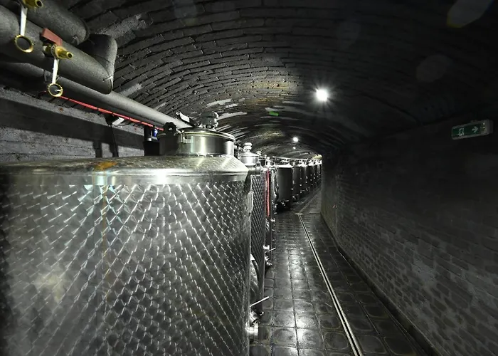 Pensjonat Valecska Palenice